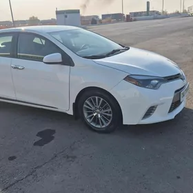 Toyota Corolla 2014