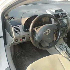 Toyota Corolla 2011