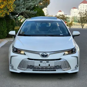 Toyota Corolla 2024