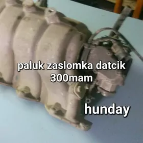 Paluk datçiklar