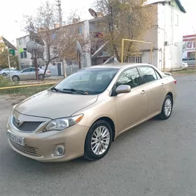 Toyota Corolla 2011