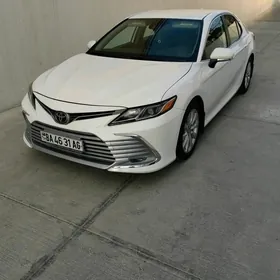 Toyota Camry 2019