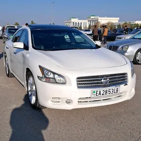 Nissan Maxima 2010