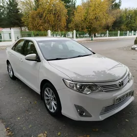 Toyota Camry 2013