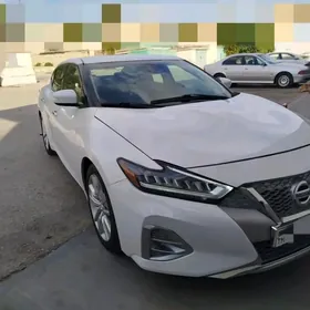 Nissan Maxima 2019