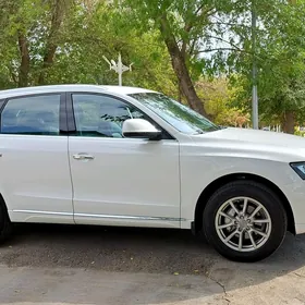 Audi Q5 2013