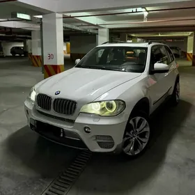 BMW X5 2010