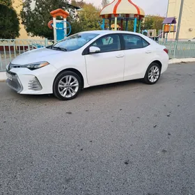 Toyota Corolla 2019