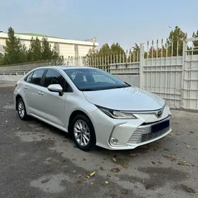 Toyota Corolla 2022