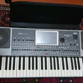 korg pa 900