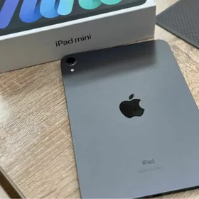 ipad mini 6