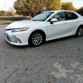 Toyota Camry 2019