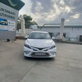 Toyota Camry 2019