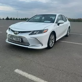 Toyota Camry 2019