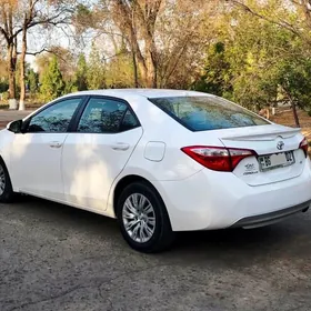 Toyota Corolla 2014