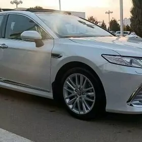 2018 2024 camry krilo nikl