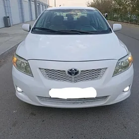 Toyota Corolla 2010