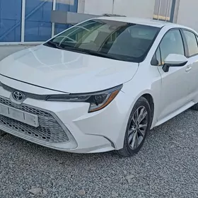 Toyota Corolla 2019