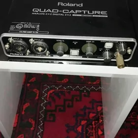 Roland Audio cart