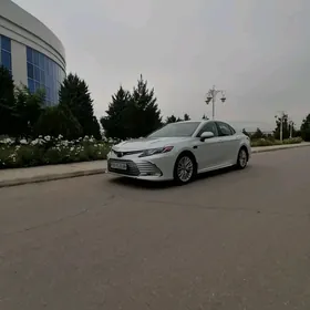 Toyota Camry 2019