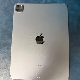 iPad Pro 256GB