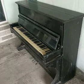 pianino