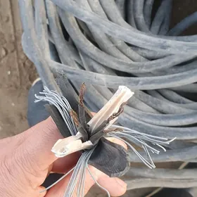 kabel 4 žyla 2.5lyk