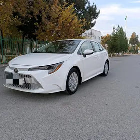 Toyota Corolla 2019