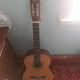 Gitara aylin