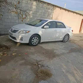 Toyota Corolla 2011