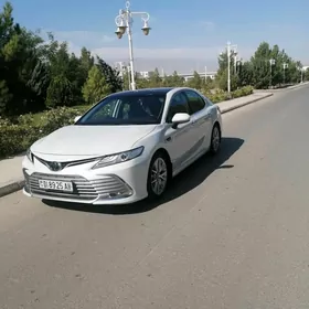 Toyota Camry 2019