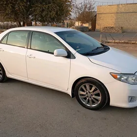 Toyota Corolla 2010