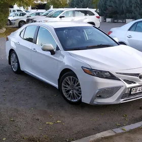 Toyota Camry 2019