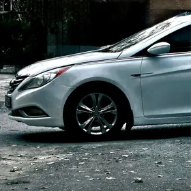 Hyundai Sonata 2010