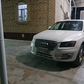 Audi Q5 2010