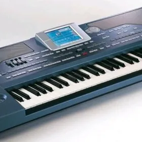 Korg Pa 800