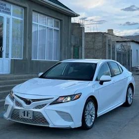 Toyota Camry 2019