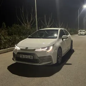 Toyota Corolla 2019