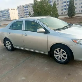 Toyota Corolla 2010