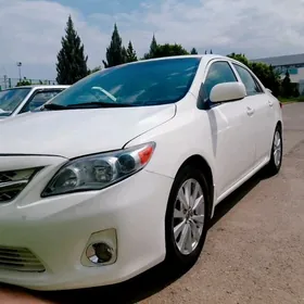 Toyota Corolla 2008