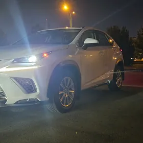 Lexus NX 300 2020