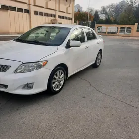 Toyota Corolla 2010