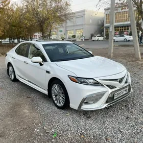 Toyota Camry 2019