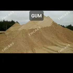 gum