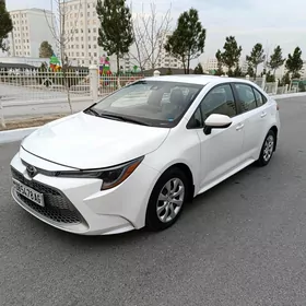 Toyota Corolla 2019