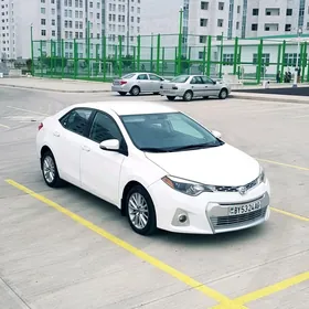 Toyota Corolla 2014