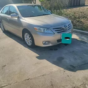 Toyota Camry 2010