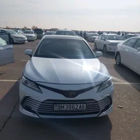 Toyota Camry 2019