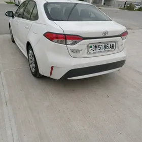 Toyota Corolla 2020