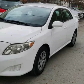 Toyota Corolla 2009